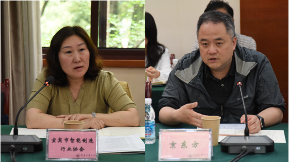 四川九洲教育投资管理有限公司董事长刘琴,成都京东方光电科技有限